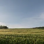 Residenza Il Falchetto Apartmán *