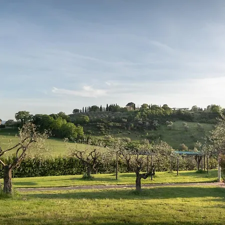 Residenza Il Falchetto * 阿西西