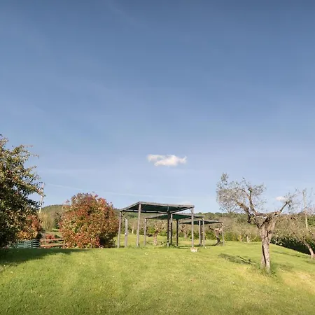 公寓 Residenza Il Falchetto 阿西西