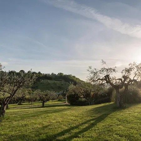 Residenza Il Falchetto 阿西西