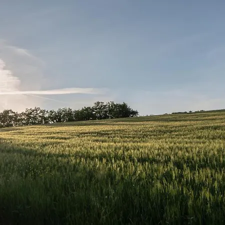 公寓 Residenza Il Falchetto