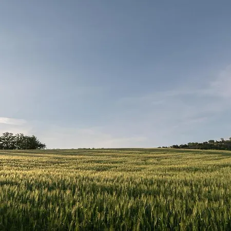 Residenza Il Falchetto 公寓 *