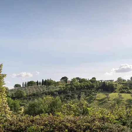 公寓 Residenza Il Falchetto 阿西西