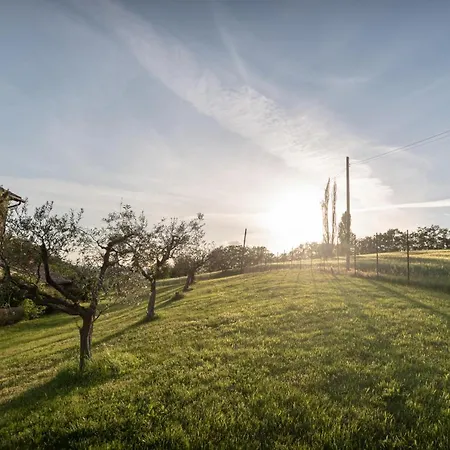 Residenza Il Falchetto 阿西西