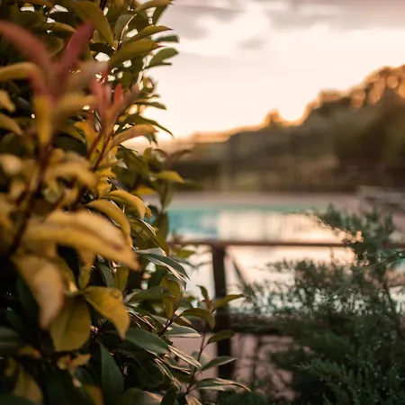 Appartamento Residenza Il Falchetto *