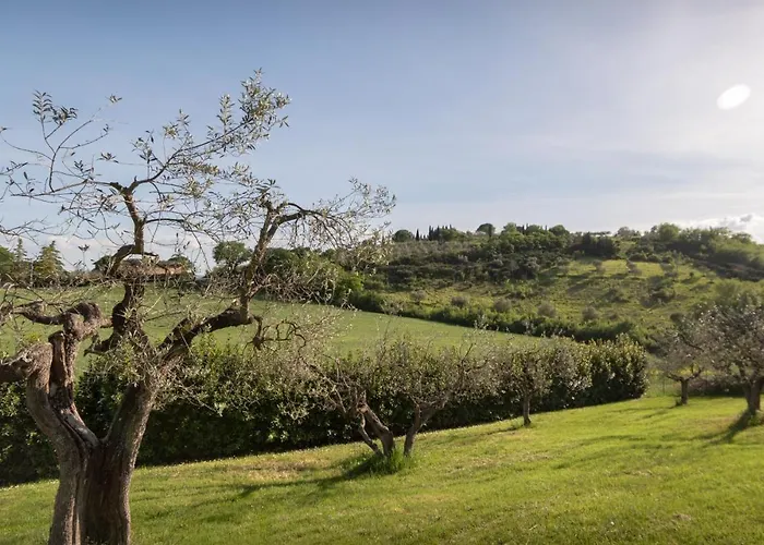 Residenza Il Falchetto Assisi