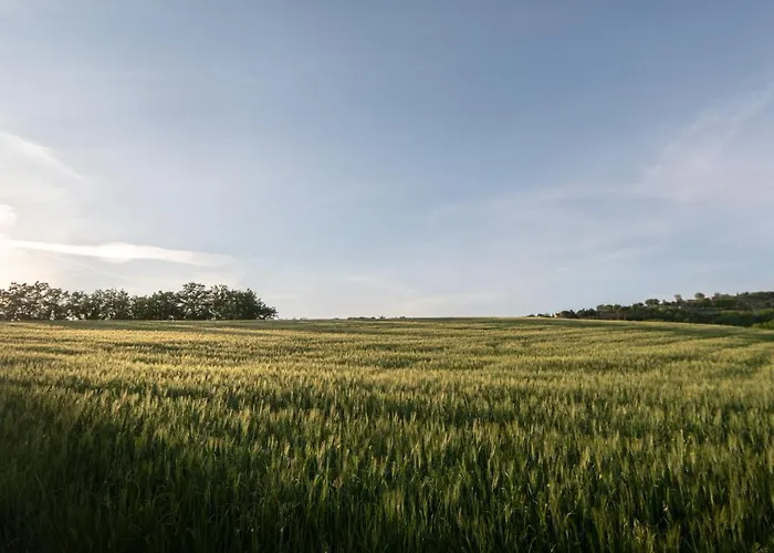 Appartamento Residenza Il Falchetto