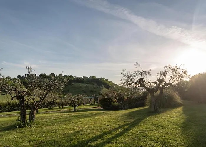 Residenza Il Falchetto Assisi