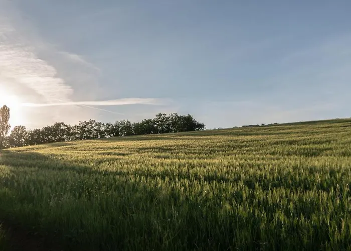 Appartamento Residenza Il Falchetto