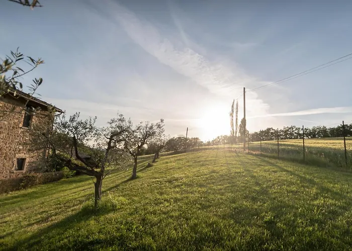 Residenza Il Falchetto Assisi